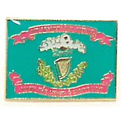 Lapel Pin - Irish Brigade Flag